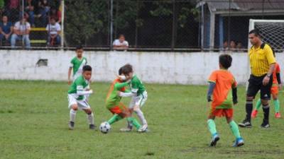 El fútbol menor estaría regresando a su actividad hasta el próximo 15 de agosto. Foto Ligas menores de San Pedro Sula.