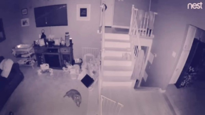 Parece una escena de la película 'Actividad Paranormal', pero es una historia real.