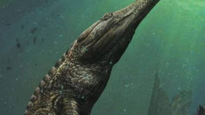 Machimosaurus pudo medir más de diez metros de largo.