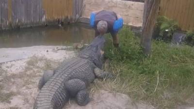 The Gator Crusader quiso mostrar su amor por los cocodrilos con un beso.