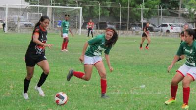 Los partidos de la Liga Femenina de Honduras se disputarían como preliminar de los juegos de la Liga Nacional.