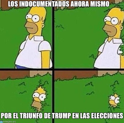 Los memes del triunfo de Donald Trump en las elecciones de Estados Unidos