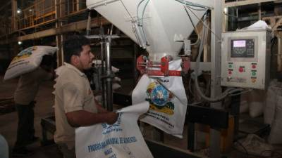 Operario llena un saco en un beneficio de arroz. La producción nacional de este grano cubre aproximadamente la mitad de lo que se consume en el país.