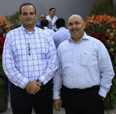 Brindis por Igvanas Tara Eco Apartments