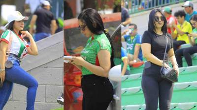 Mira las imágenes del espectacular ambiente en el Marathón vs Motagua en el estadio Yankel Rosenthal de San Pedro Sula. Bellas chicas y jugadores del cuadro azul sufrieron un susto.