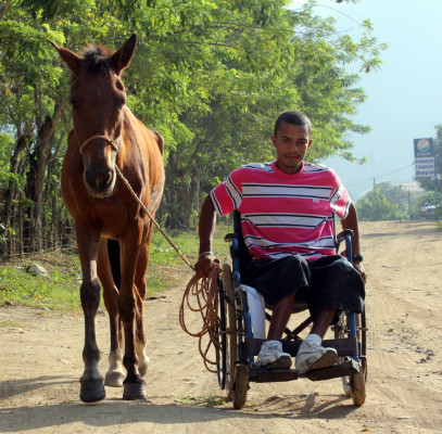 Maneja carreta de caballos desde una silla de ruedas