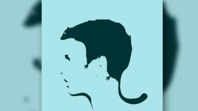 Las relaciones no son sencillas, de eso no hay duda. El amor es más complejo de lo que nos muestran en las películas o en las publicaciones de las redes sociales. A veces no basta con que dos personas se amen o que sean de la misma sangre (en el caso de una familia, por ejemplo), o que compartan los mismos intereses (en el caso de las amistades).Pero aceptar que vivimos problemas en el amor tampoco es fácil. De hecho, hay personas que no logran siquiera salir de la negación. Lo que sentimos por dentro, de todas formas, y por más que queramos ocultarlo, permanece.Observa la siguiente imagen y sin pensar responde: ¿Qué ves primero? Lo que contestes podrá ayudarte a hacer salir a la luz lo que podrían estar escondiendo tus problemas en el ámbito del amor. Este test psicológico es usado por profesionales de la materia y puede responder muchas dudas.