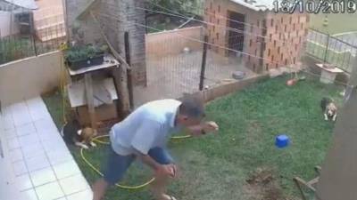 El video viral consiguió más de 40 mil reproducciones en YouTube.