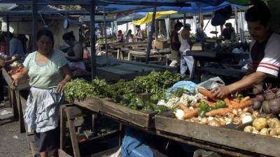 La Feria del Agricultor del barrio Cabañas beneficia a unas 5,000 personas.