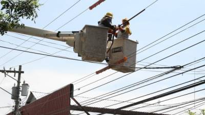 Esta semana, cuadrillas de la Enee trabajaron en varios circuitos del sistema.