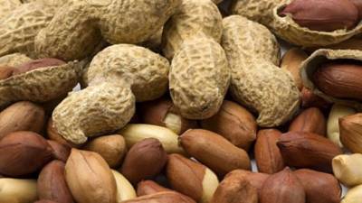 Realizan investigaciones para evitar la alergia al maní.