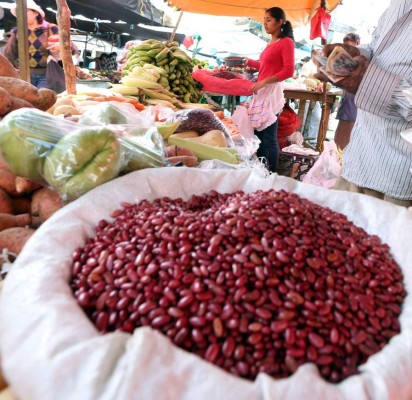 Alta reserva de frijol hace injustificada alza de precio: Ihma