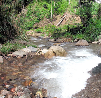 Alcaldías encargadas descuidan El Merendón