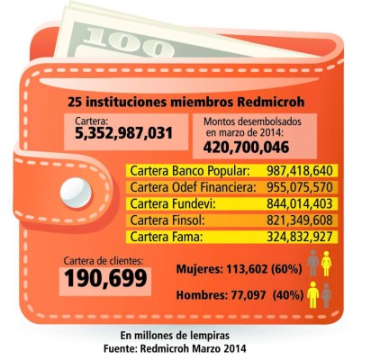 Apuesta por la microempresa