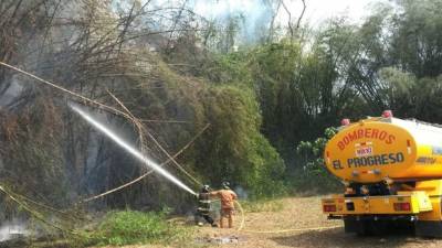 Los apagafuegos actuaron rápido para apagar las llamas en la montaña.
