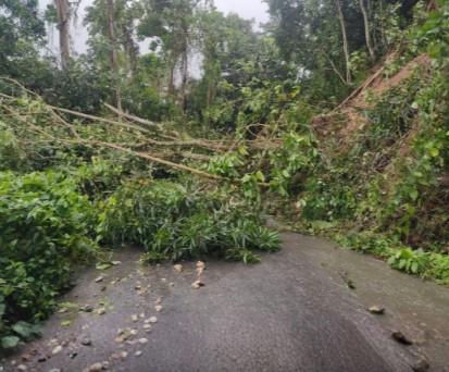 Huracán Melissa deja muerte y devastación en Jamaica