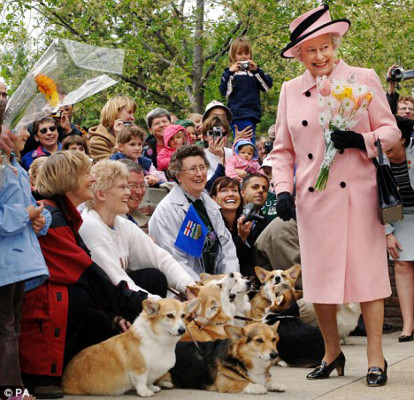 Los perros tienen chef y camarero