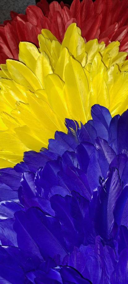 En semana pasada, el experimentado diseñador Danilo García reveló que Zuheilyn Clemente rendirá honor en su pasarela a la Guacamaya, ave nacional de Honduras. 