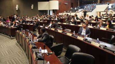 En el capítulo de Delitos contra la Vida, el nuevo Código Penal mantiene la misma redacción en torno a la penalización del aborto. Ayer hubo intensos debates en el pleno legislativo.