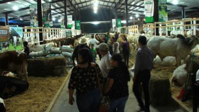 Familias completas disfrutan anualmente de las ferias en el campo Agas.