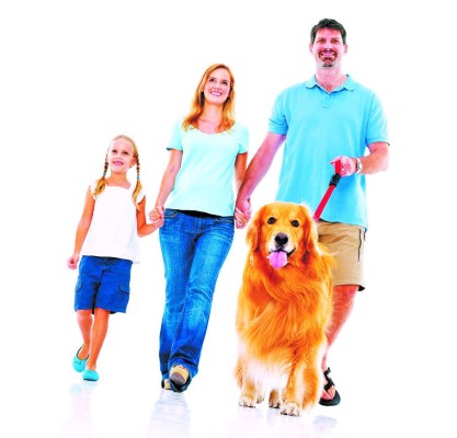 Beneficios de sacar a pasear la mascota