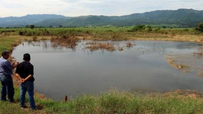 El agua y sedimento arrastrado por el Ulúa obstruyó las pilas de tratamiento de aguas negras. Fotos Ricardo Claros.