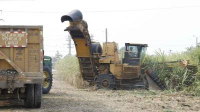 Los productores de azúcar aducen la baja captación de ingresos a la depresión del precio de este producto en el mercado internacional.