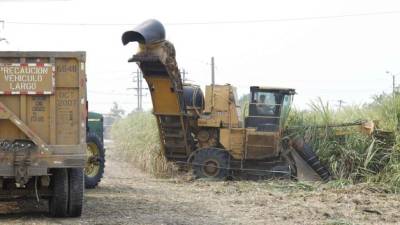 Los productores de azúcar aducen la baja captación de ingresos a la depresión del precio de este producto en el mercado internacional.