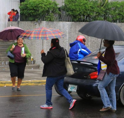Febrero, el mes más frío de los últimos 15 años
