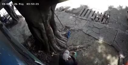 Consternación por don Wilfredo, trabajador que murió arrollado mientras almorzaba