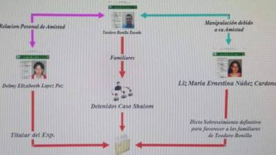 Diagrama que describe la trama del caso Shalom.