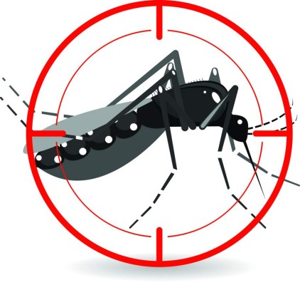 De los barrios Cabañas y Paz Barahona se reportan más enfermos por dengue