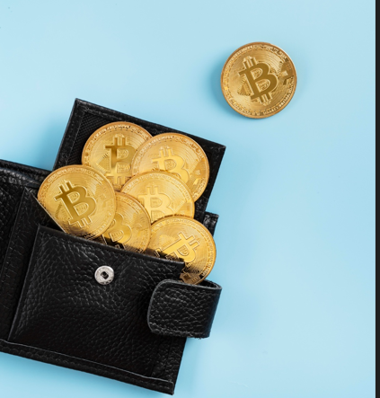 Criptomonedas en alza: cómo mantener una billetera a salvo de amenazas