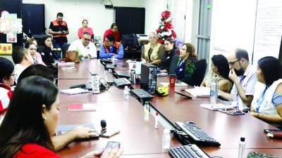 Autoridades de Salud y de Copeco coordinaron hoy operativos de fumigación a partir de enero de 2024