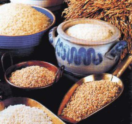 ¿Qué contiene la vitamina K?