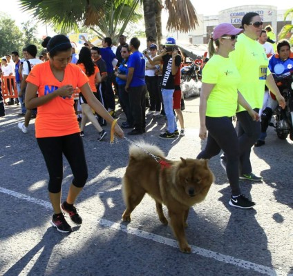 Las fotos que no viste de la 38 maratón de LA PRENSA