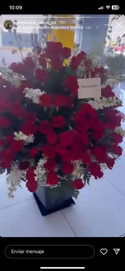 Alejandra Rubio presumió en todas sus redes su regalo. 