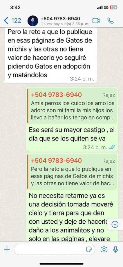 “Yo seguiré pidiendo gatos en adopción y matándolos”.