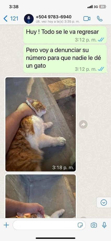 Envía fotografías de los gatos que mató.