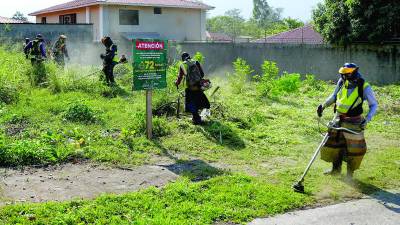 <b>Los sampedranos pagan una tasa que se llama ciudad limpia y otras para mantener la limpieza en la ciudad.</b>