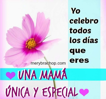 Bellas frases y poemas para Mamá