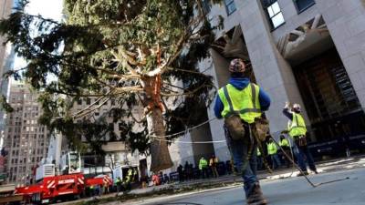 El árbol de Navidad del Rockefeller Center, de 75 pies de altura, llega al Rockefeller Center.