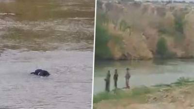 Agentes de la Patrulla Fronteriza observaron ahogarse a dos migrantes hondureños en el río Bravo./Facebook.
