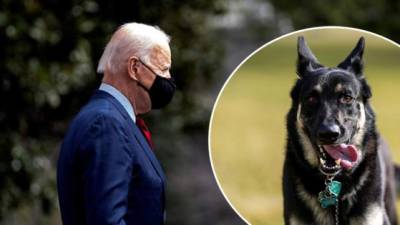 En la imagen un registro del presidente de Estados Unidos, Joe Biden y su perro Major. (EFE)