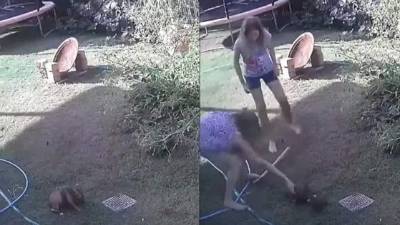 El video se hizo viral en redes sociales como Facebook.