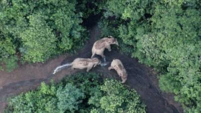 El grupo abandonó hace 16 meses su hogar en el sur. (AFP)