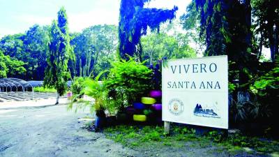 A las 8:00 am las labores iniciarán sobre el bulevar de la 33 calle.