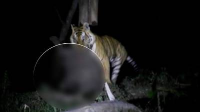 El impactante video es muy fuerte. (YouTube)