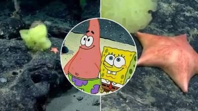 Las imágenes se viralizaron en Twitter.