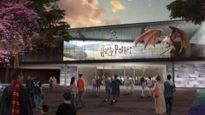 Los fanáticos de Harry Potter se mostraron emocionados ante el anuncio.